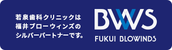 福井ブローインズ