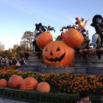 IMG_7533.jpg