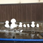20130128_131626.JPG