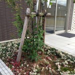 IMG_3193.jpg