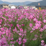 IMG_3916.png