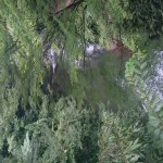 DSC_0061.JPG