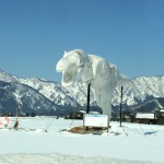 IMG_6377.jpg