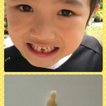 collage-1464321976946.jpg