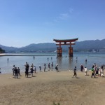 image1.JPG