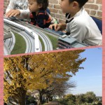 collage-1480394541990.jpg